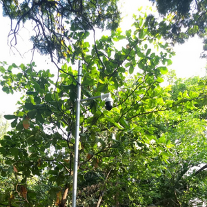 CCTV cameras for park